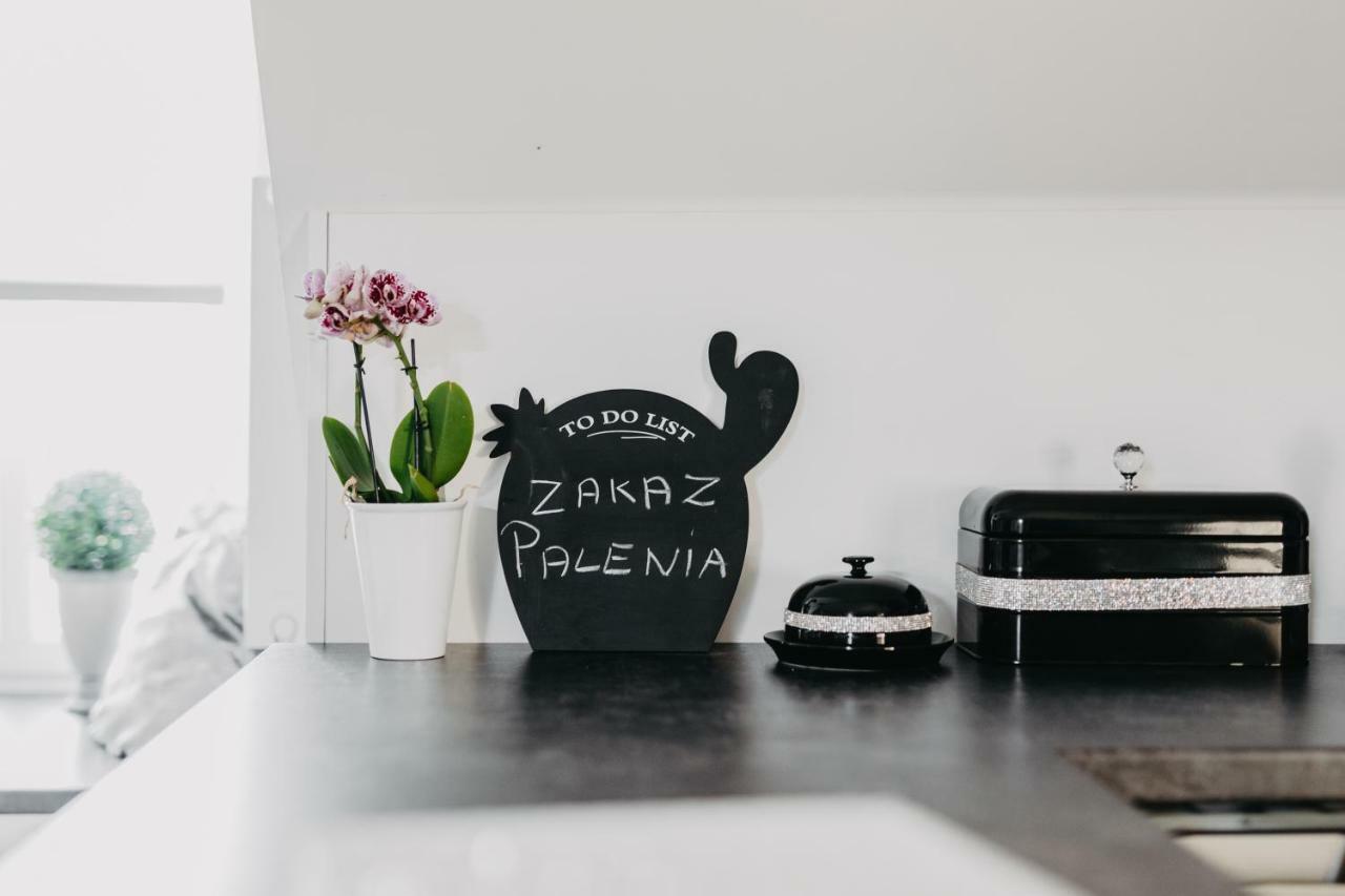 Apartament Rynek Pniewy Pniewy  エクステリア 写真